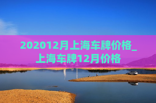 202012月上海车牌价格_上海车牌12月价格